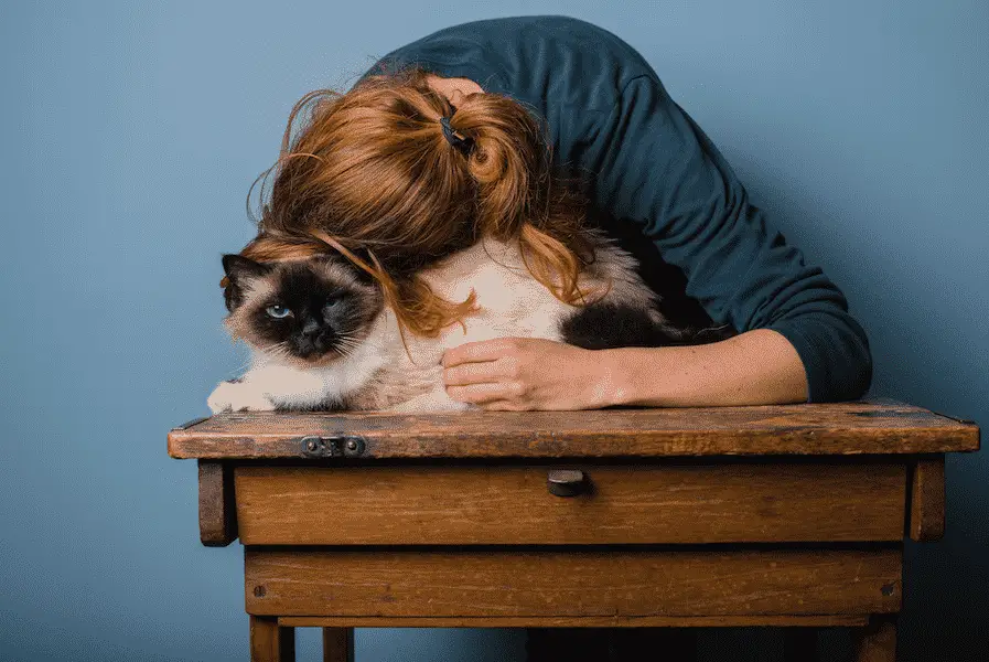woman leaning over cat who is offering emotional support to their pet parent