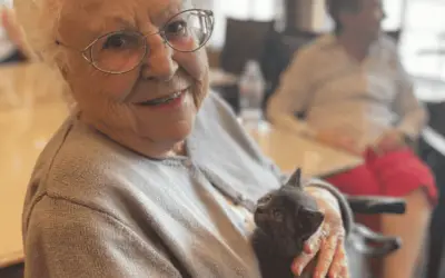 Retirement Home Residents Enjoy Kitten Therapy