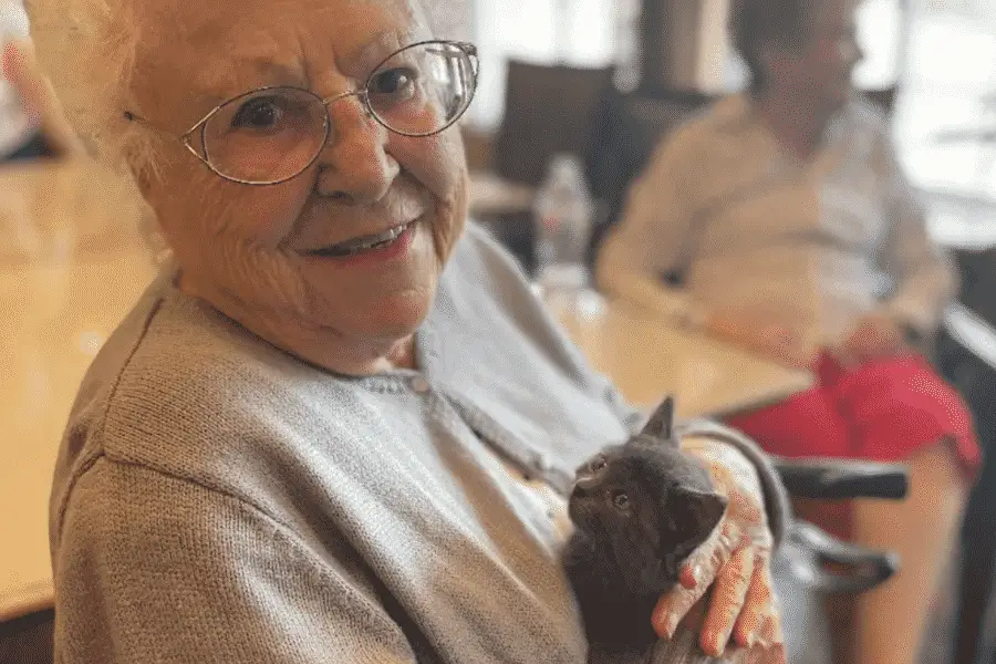 kittens in retirement home comforting and offering emotional support to the nursing home residents
