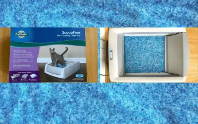 PetSafe Scoop-Free Self-Cleaning Litter Box Review