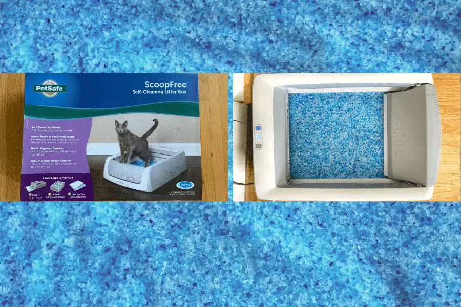 Petsafe Scoop-free Self Cleaning Litter Box Review