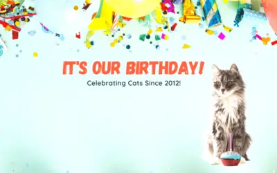The Catnip Times Celebrates 10 Years