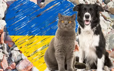 Help People With Pets Suffering in Ukraine