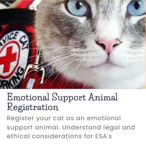 How to register your cat as an emotional support animal (ESA)