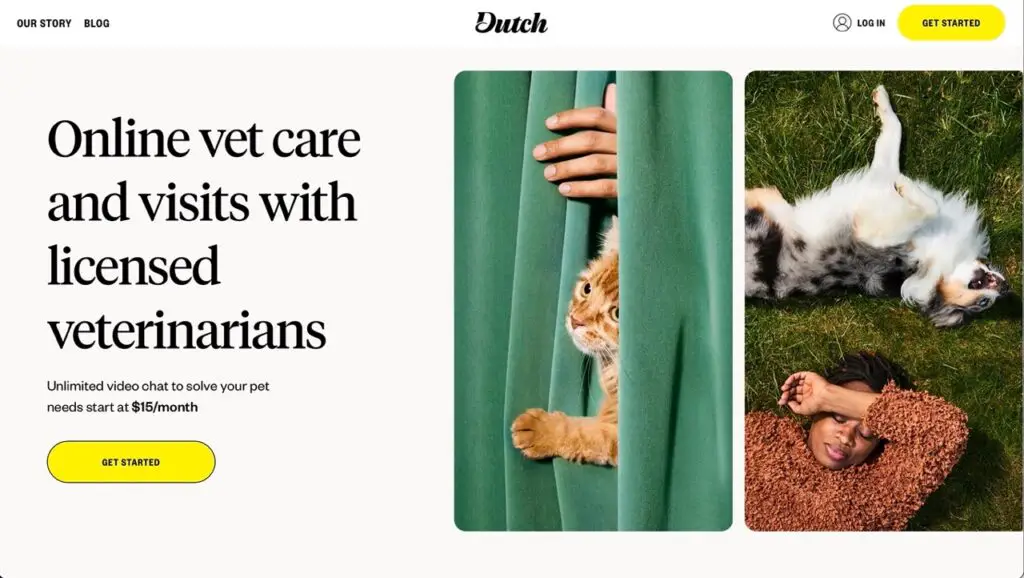 Dutch Virtual Vet