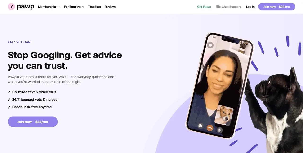 Best Online Vet Chat Services For Cats The Catnip Times