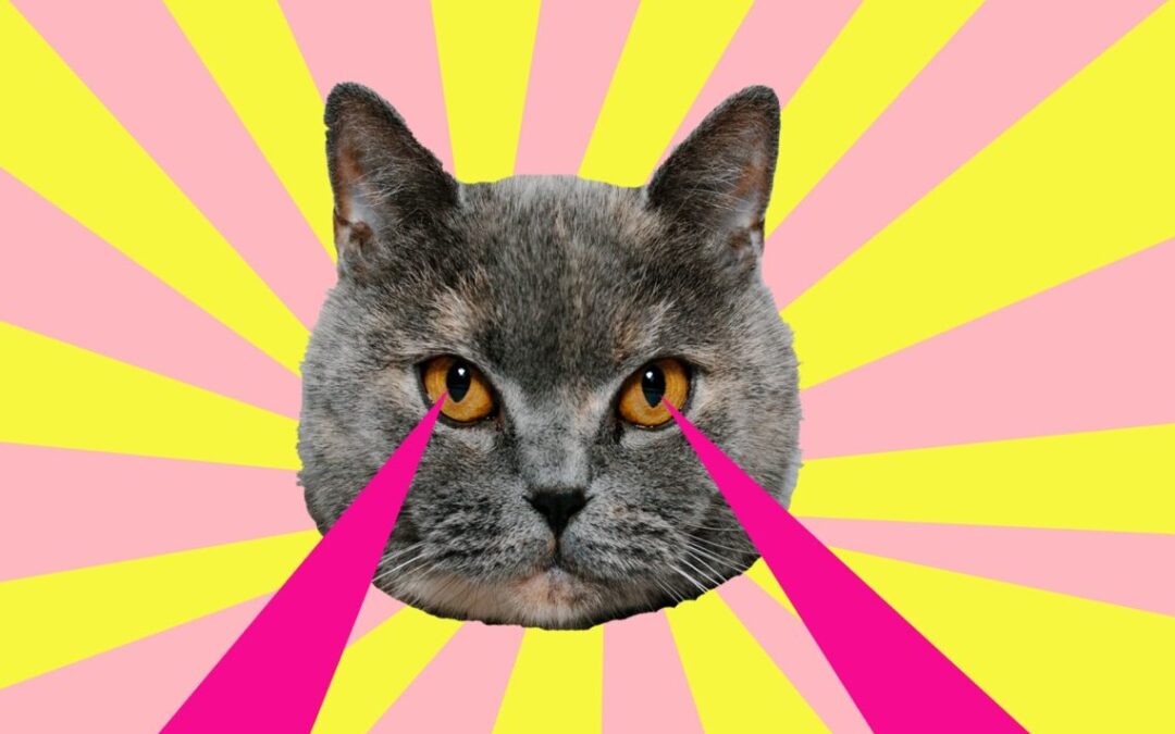 Scientists bent laser beams to create image of a cat