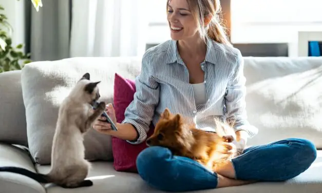 Study Finds Pets May Influence Human Behavior