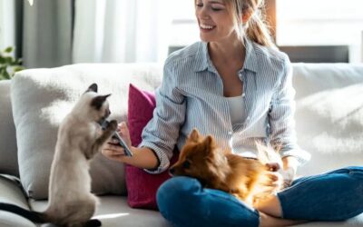 Study Finds Pets May Influence Human Behavior