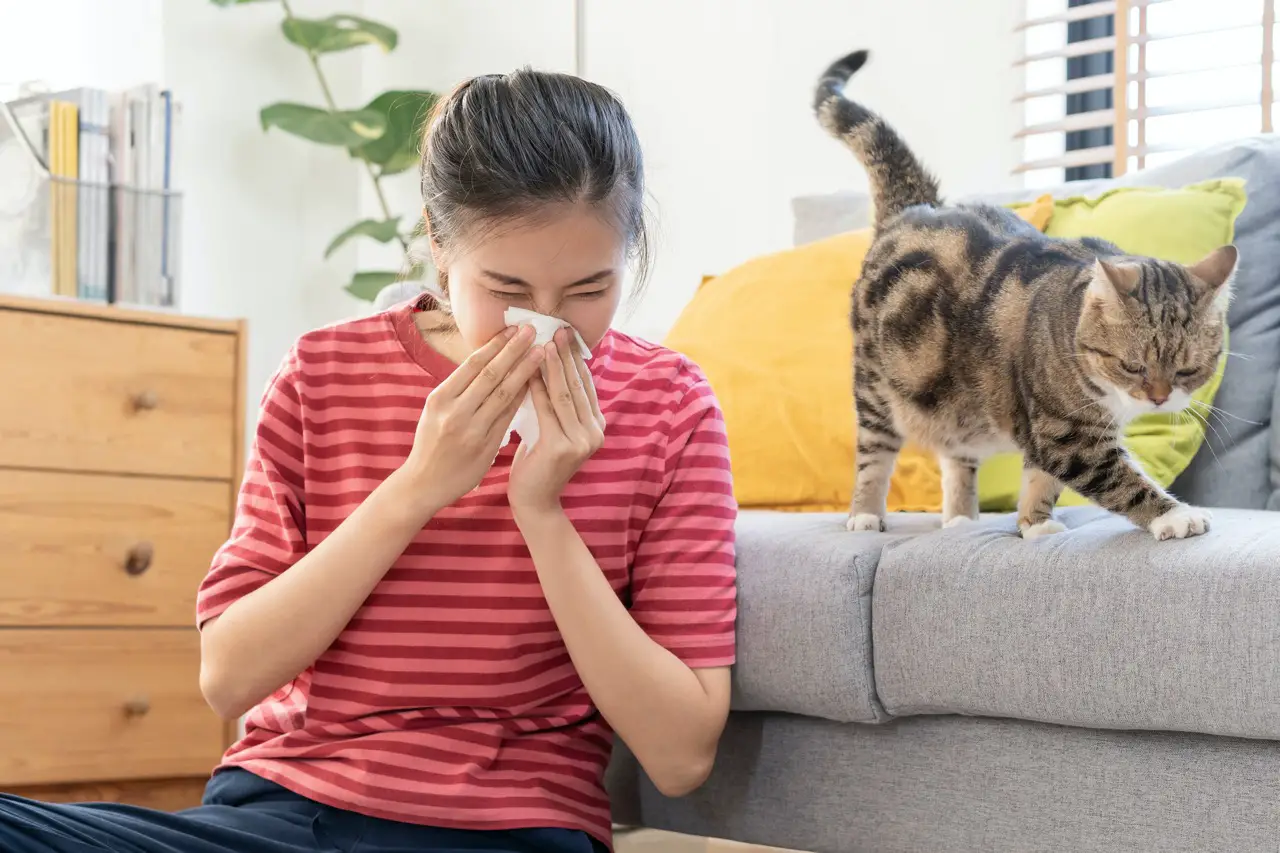 Asian woman allergic to cats