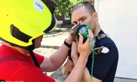 London Cat Saved By Mini Oxygen Mask