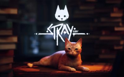 Stray the Video Game As Seen Through A Cat Behaviorist