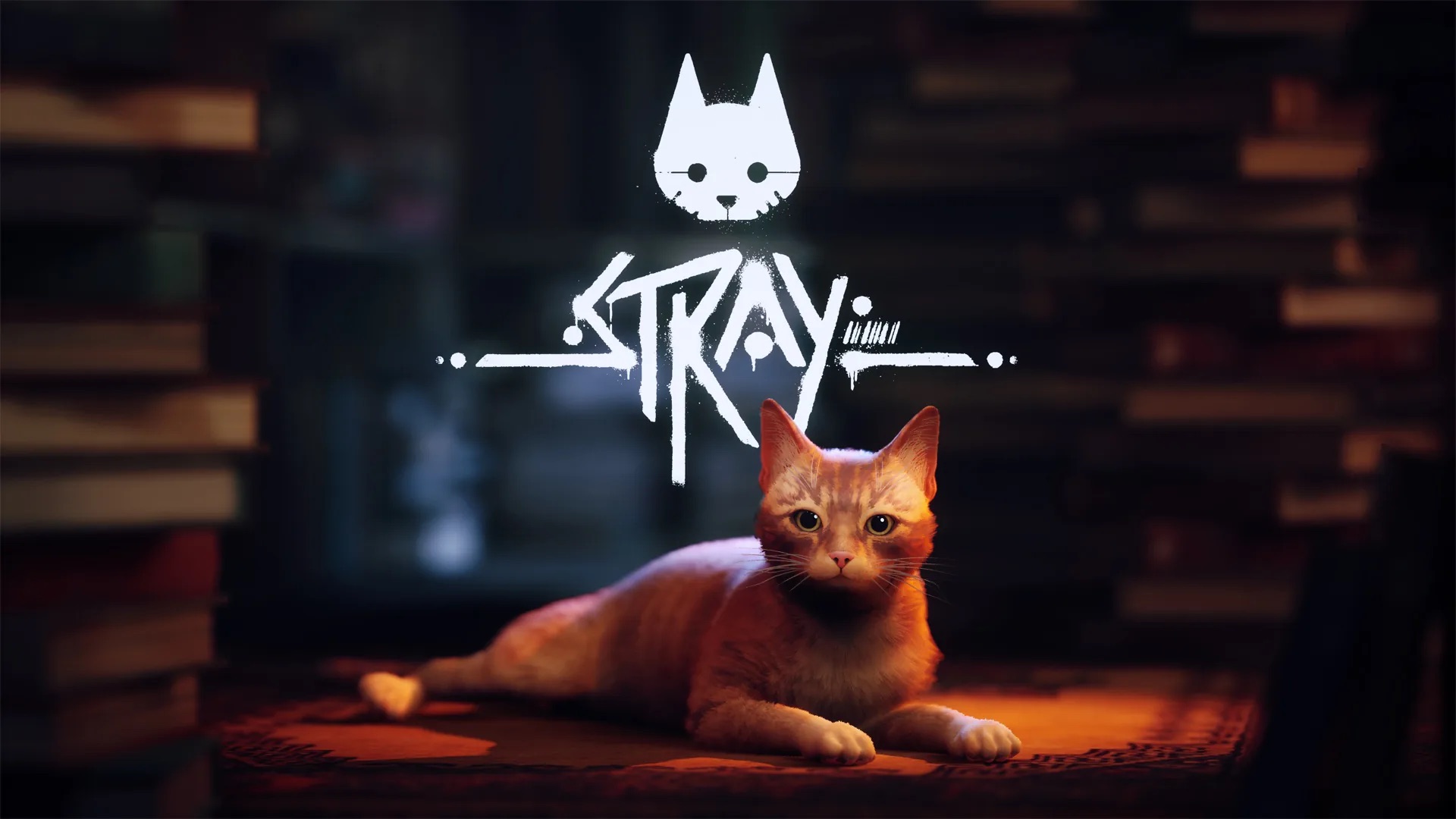 stray the cat-centric video game