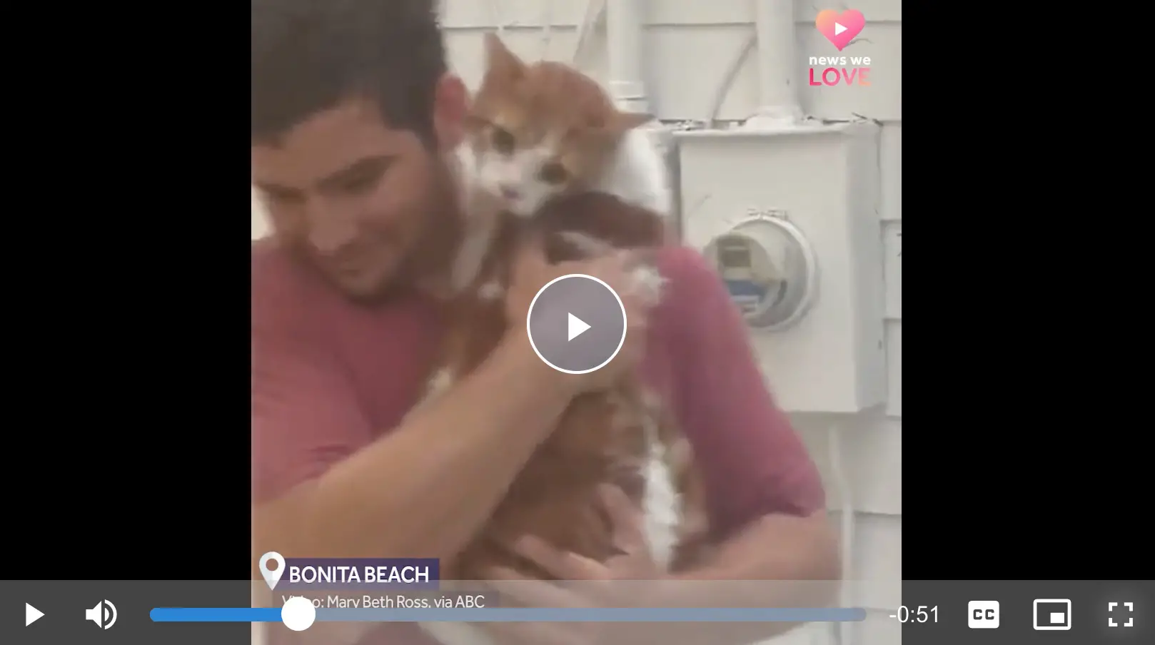 man rescues stranded orange and white cat during hurricane ian