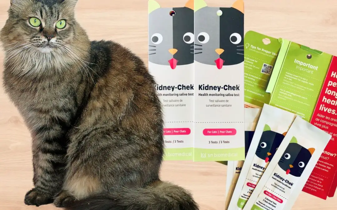 KidneyChek Early Detection of Kidney Disease In Cats Product Review