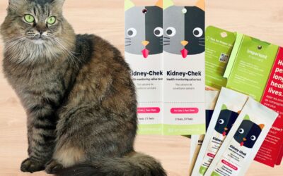 KidneyChek Early Detection of Kidney Disease In Cats Product Review