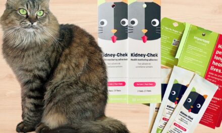 KidneyChek Early Detection of Kidney Disease In Cats Product Review