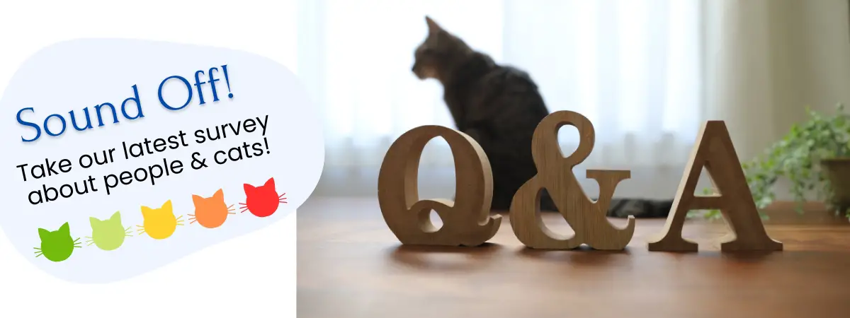 Surveys about cats and the people who love them