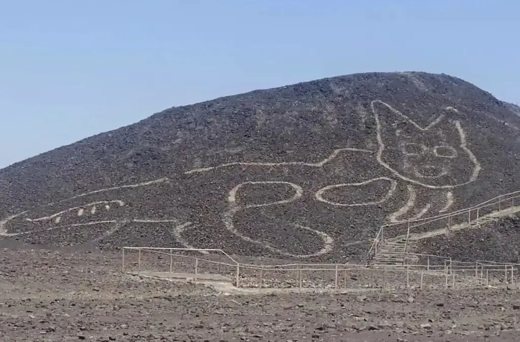 2,000-Year-Old Cat Geoglyph Uncovered