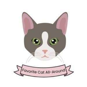 Domestic shorthair is all around favorite cat