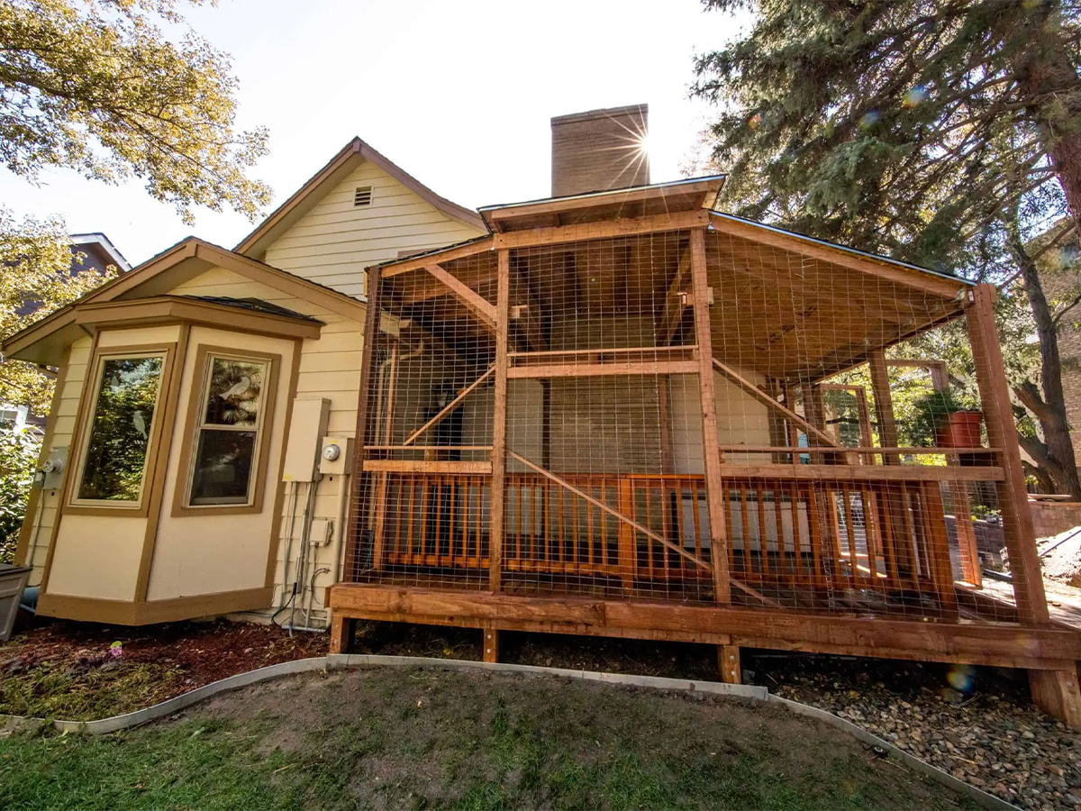 Catio built for cats