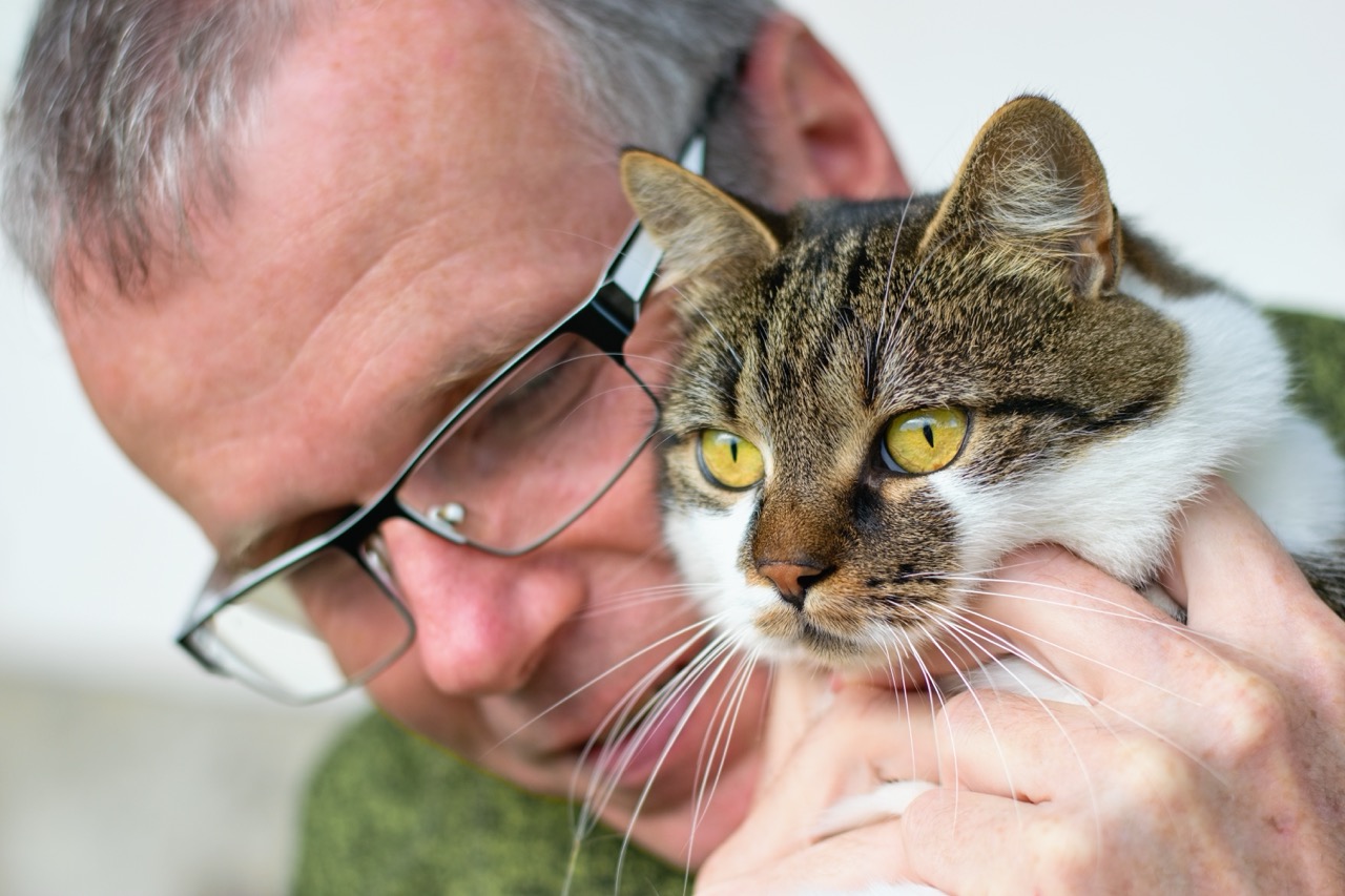 Mature man tenderly caressing adorable cat. Felinotherapy.